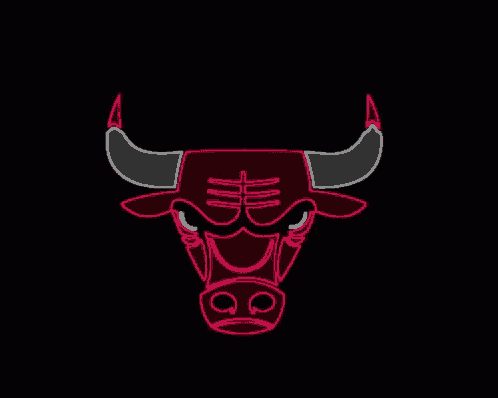 Chicago Bulls